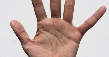 Cómo se construyen las representaciones sociales de las profesiones en nuestra sociedad