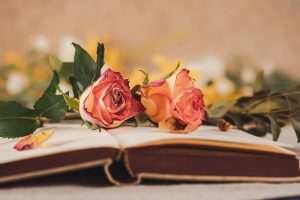 Elegant pink roses placed gently on an open book create a serene, literary still life.