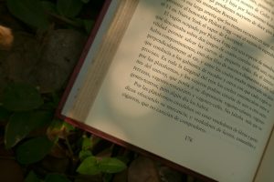 Autores que aborden la comunicación en sus obras An open book lies on a leafy ground with sunlight illuminating the printed text.