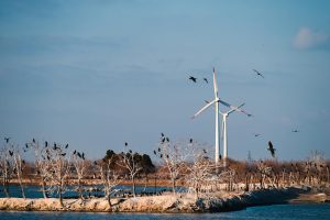Scenic view of wind turbines with birds perched on trees and flying in a tranquil landscape.
