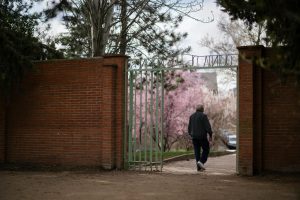An elderly man walks through an iron gate into a garden with blooming trees.