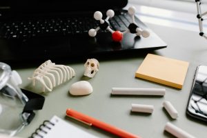 A flat lay of a scientific desk with molecular models, rib cage model, and laptop.