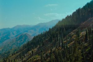 Breathtaking panorama of Tien Shan mountains and lush forests under a bright blue sky in Kazakhstan.