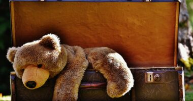 El papel del hombre: pasado y presente