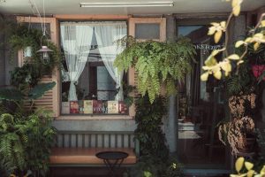 Cozy bookstore entrance adorned with vibrant ferns and greenery in Ho Chi Minh City.