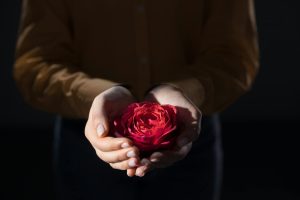 A close-up of hands gently holding a red rose, symbolizing love and care, captured in low light.