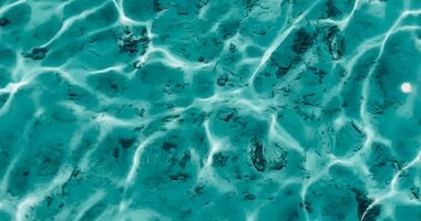 5 actividades imprescindibles antes de partir