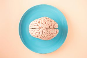 A human brain model placed on a blue plate, viewed from above against a pastel background.