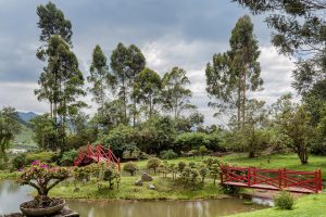 Peaceful garden setting with red bridges over a pond surrounded by lush greenery.